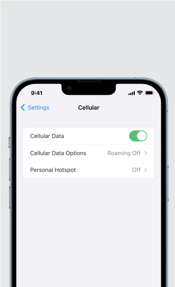 esim-steps section-05.jpg