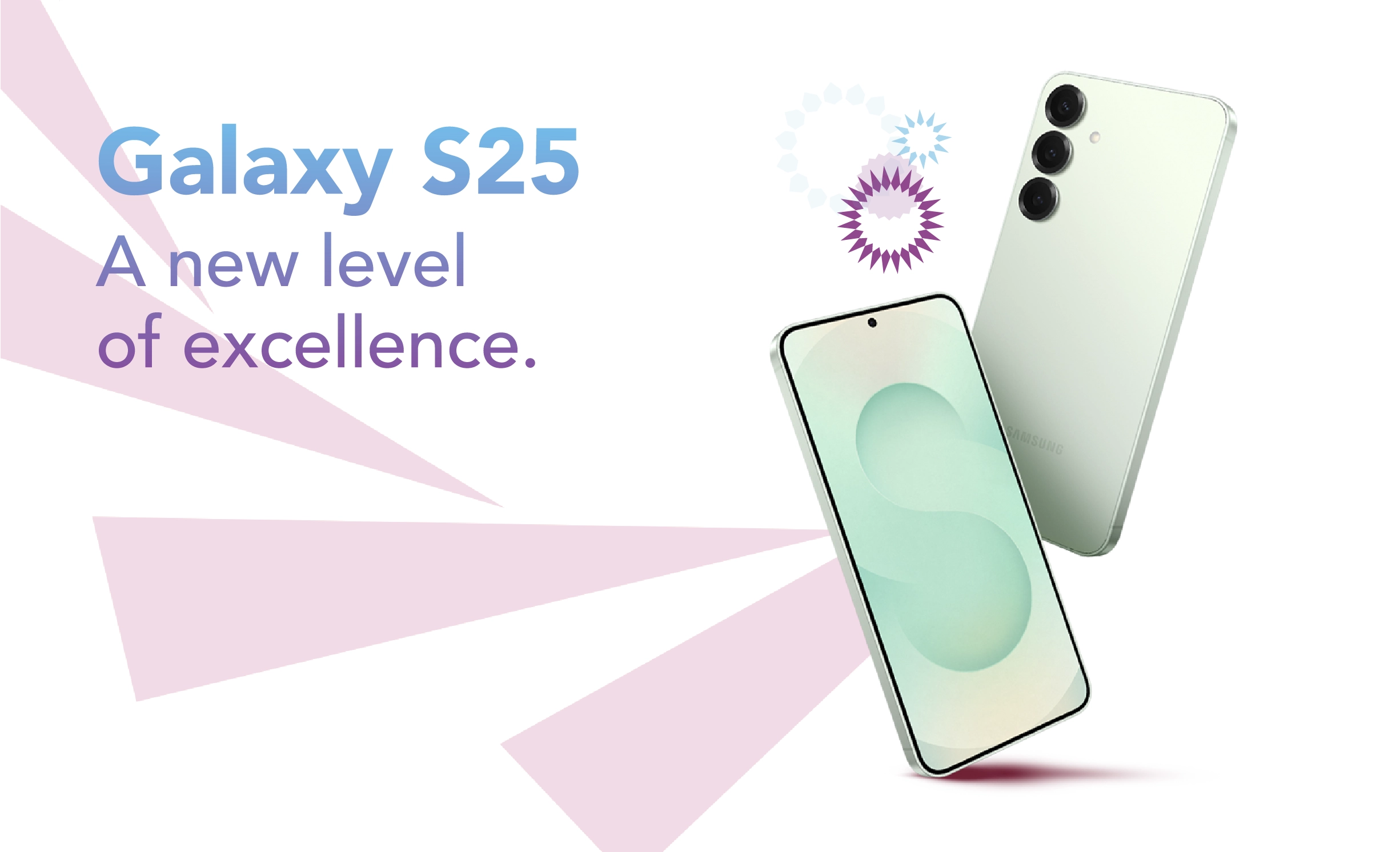 Galaxy S25