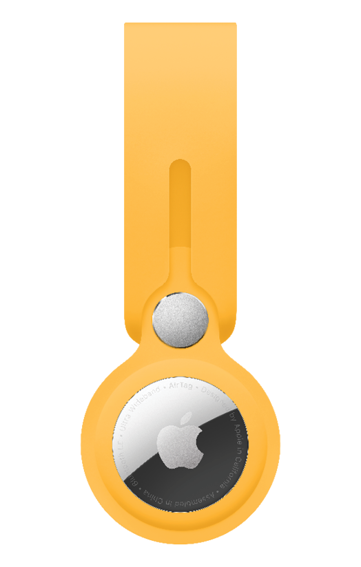 30Apr202112PM4056_apple accessories 2021 - Widgets 524x8248 sunflower.png